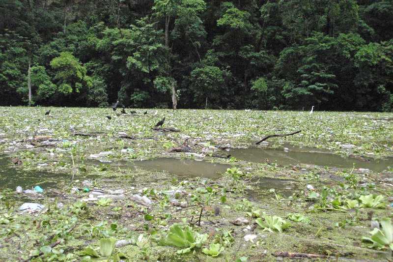 Mexico & Guatemala 2010 - 0358